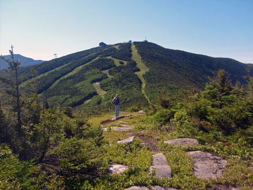 Bicknell's Thrush survey at the Mittersill Tract at Canon Mt. in Franconia, NH. Photo by Laura Deming.