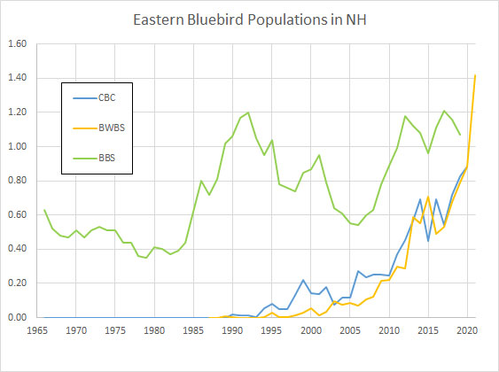 Bird of the Month - Eastern Bluebird (Sialia sialis) - NH Audubon