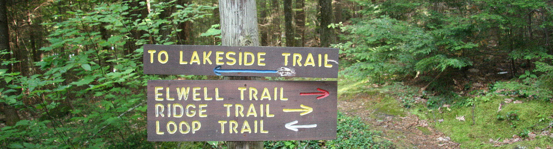 Newfound Center, Hebron NH Audubon