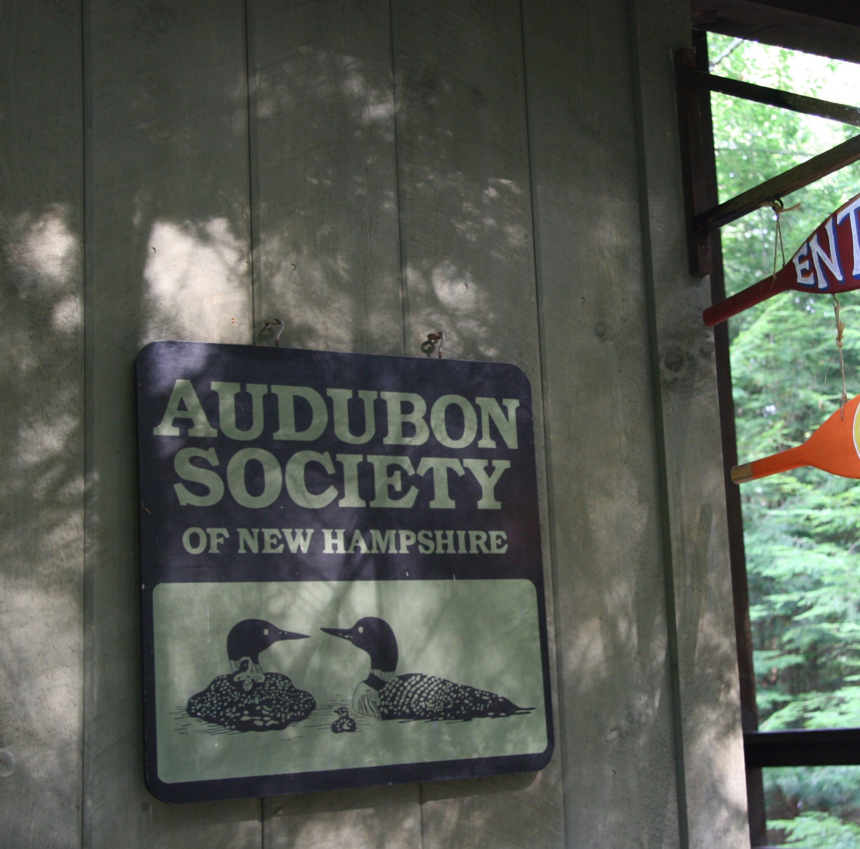 Newfound Center, Hebron NH Audubon