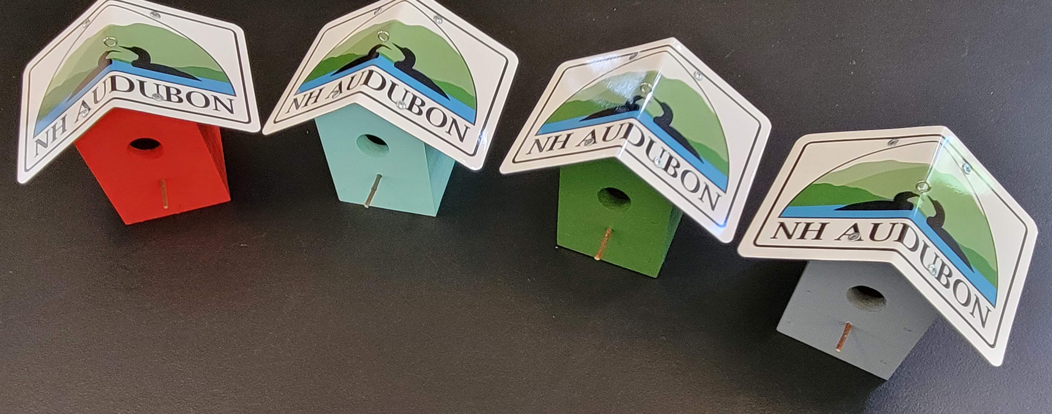 Specialty Bird Houses NH Audubon