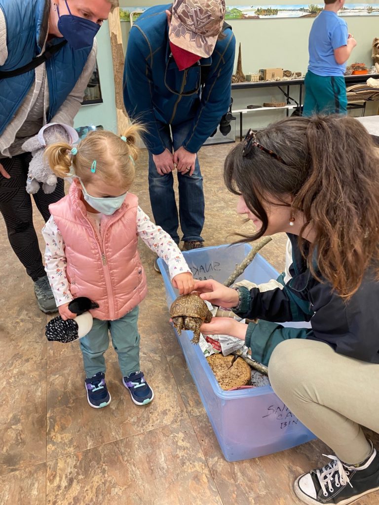 Exploring the reptile room